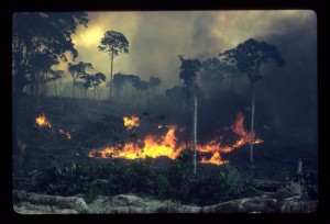 Amazon Forest Fire in 'A Fierce Green Fire'